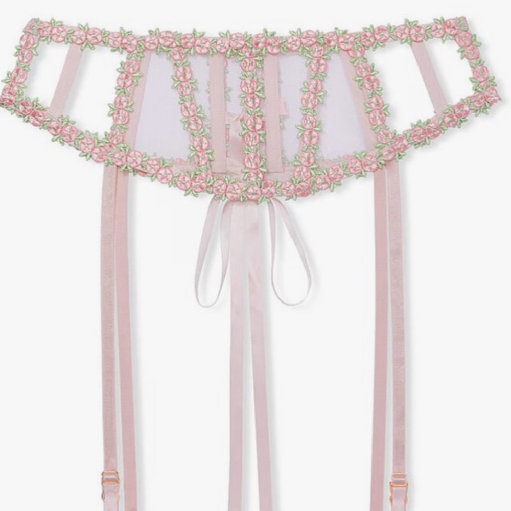 Victoria's Secret Rosebud Embroidery 3 Set NWT Corset 36 DD panty L Garter XS/S - Picture 9 of 13